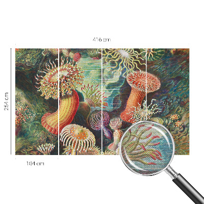 Vlies fototapeta za dječju sobu Otmjene anemone