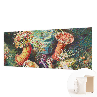 Vlies fototapeta za dječju sobu Otmjene anemone