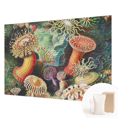 Vlies fototapeta za dječju sobu Otmjene anemone
