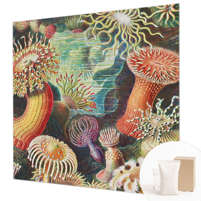 Vlies fototapeta za dječju sobu Otmjene anemone