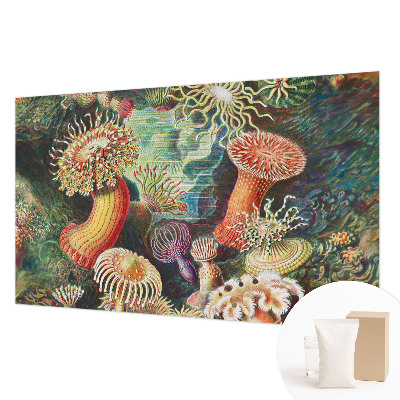 Vlies fototapeta za dječju sobu Otmjene anemone