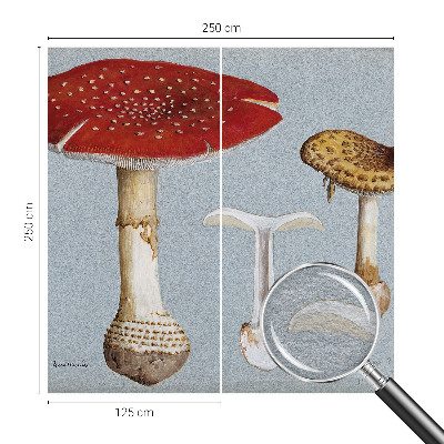 Fototapeta po mjeri Gravure gljiva