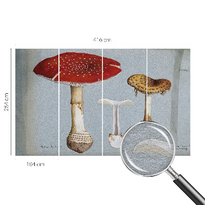 Fototapeta po mjeri Gravure gljiva