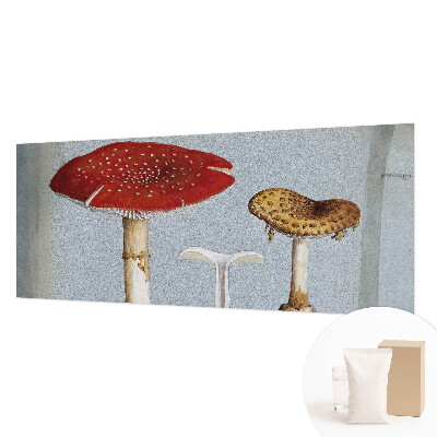 Fototapeta po mjeri Gravure gljiva