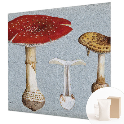 Fototapeta po mjeri Gravure gljiva
