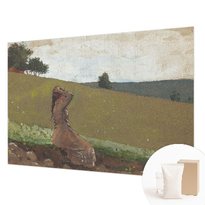 Fototapeta s tiskom Tiha scena