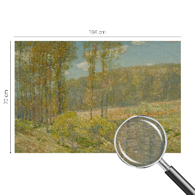 Visokokvalitetna fototapeta Šumski krajolik