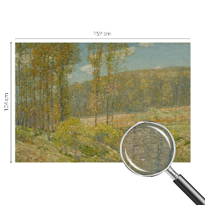 Visokokvalitetna fototapeta Šumski krajolik