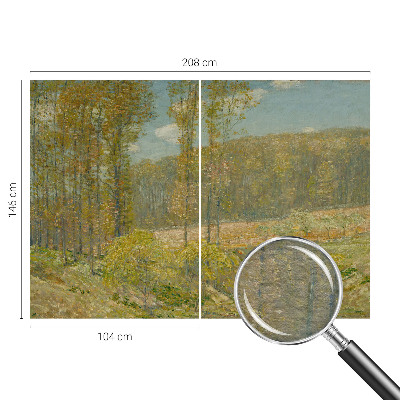 Visokokvalitetna fototapeta Šumski krajolik