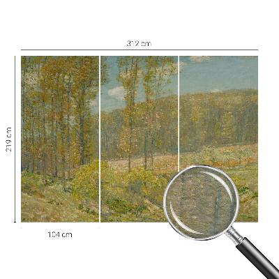 Visokokvalitetna fototapeta Šumski krajolik