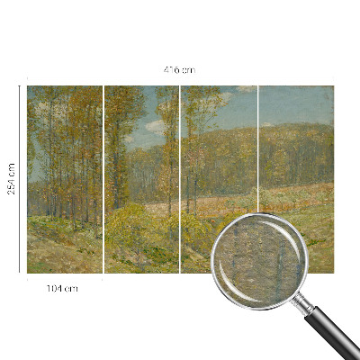 Visokokvalitetna fototapeta Šumski krajolik