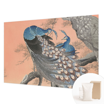 Premium fototapeta s motivom paunove elegancije