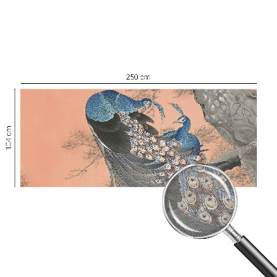 Premium fototapeta s motivom paunove elegancije