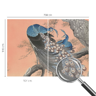 Premium fototapeta s motivom paunove elegancije