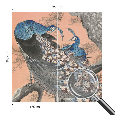 Premium fototapeta s motivom paunove elegancije