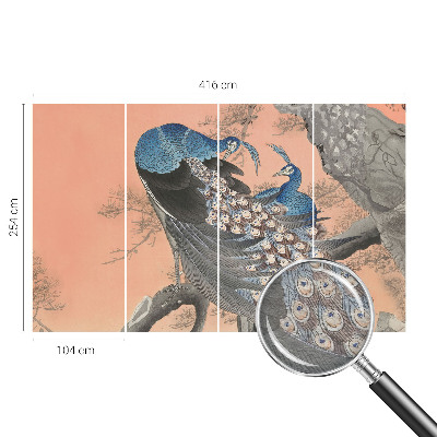 Premium fototapeta s motivom paunove elegancije