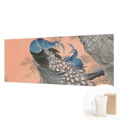 Premium fototapeta s motivom paunove elegancije