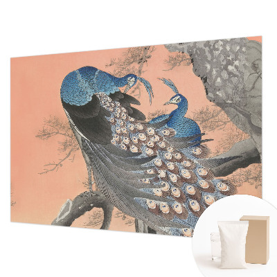 Premium fototapeta s motivom paunove elegancije