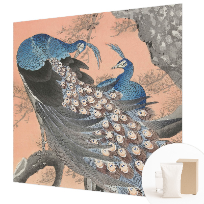 Premium fototapeta s motivom paunove elegancije