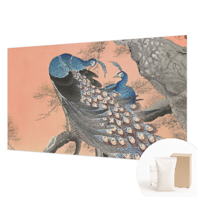 Premium fototapeta s motivom paunove elegancije