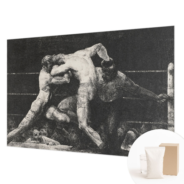 Fototapeta za spavaću sobu Dvoboj boksača