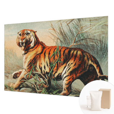Zidna dekoracija fototapeta Priroda tigra