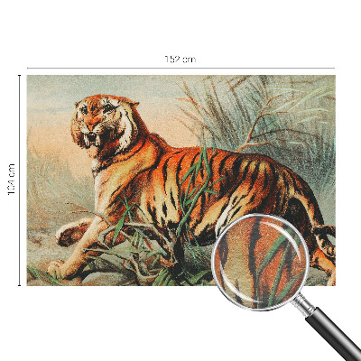 Zidna dekoracija fototapeta Priroda tigra