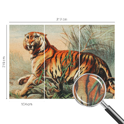 Zidna dekoracija fototapeta Priroda tigra