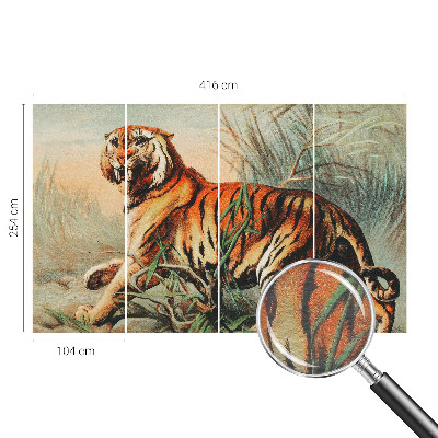 Zidna dekoracija fototapeta Priroda tigra
