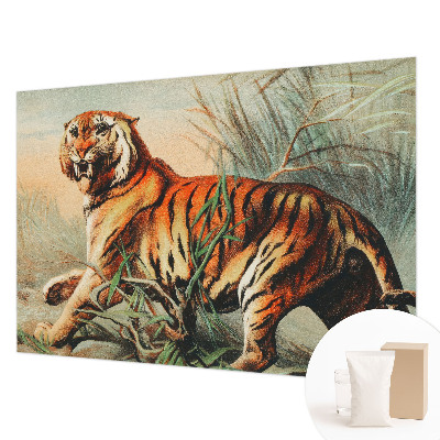 Zidna dekoracija fototapeta Priroda tigra