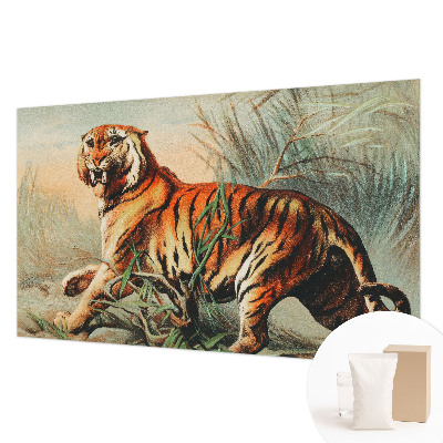 Zidna dekoracija fototapeta Priroda tigra