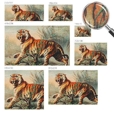 Zidna dekoracija fototapeta Priroda tigra