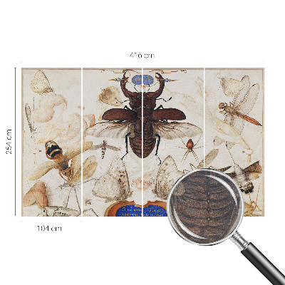 Foto tapeta po mjeri Prirodna harmonija