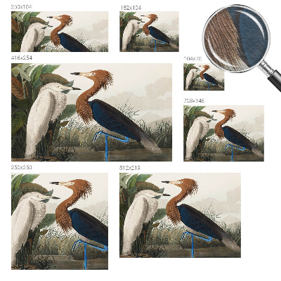 Moderna fototapeta Ptice u biljkama