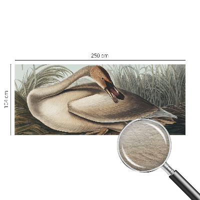 Visokokvalitetna fototapeta Prirodna ptica