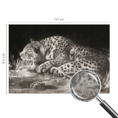Foto tapeta za zid Leopard se odmara