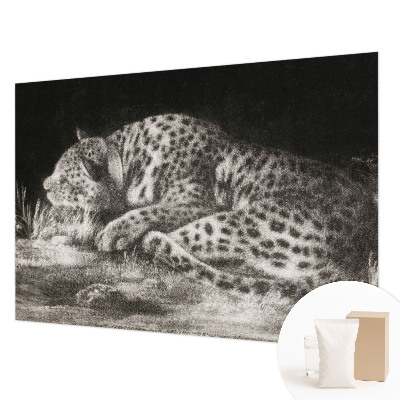 Foto tapeta za zid Leopard se odmara