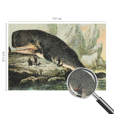 Zidna fototapeta Morski gigantizam
