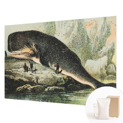Zidna fototapeta Morski gigantizam