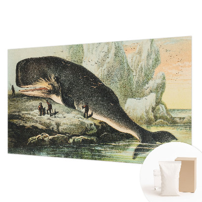 Zidna fototapeta Morski gigantizam
