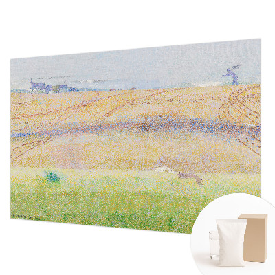 Premium fototapeta s motivom ljetnog polja