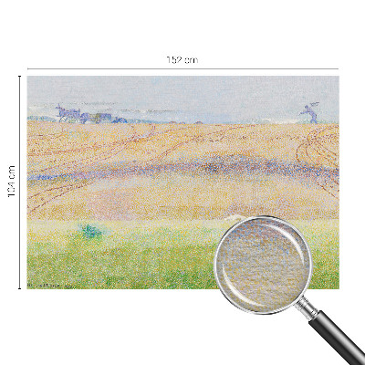 Premium fototapeta Ljetno polje