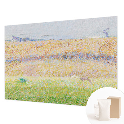 Premium fototapeta Ljetno polje