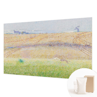 Premium fototapeta Ljetno polje