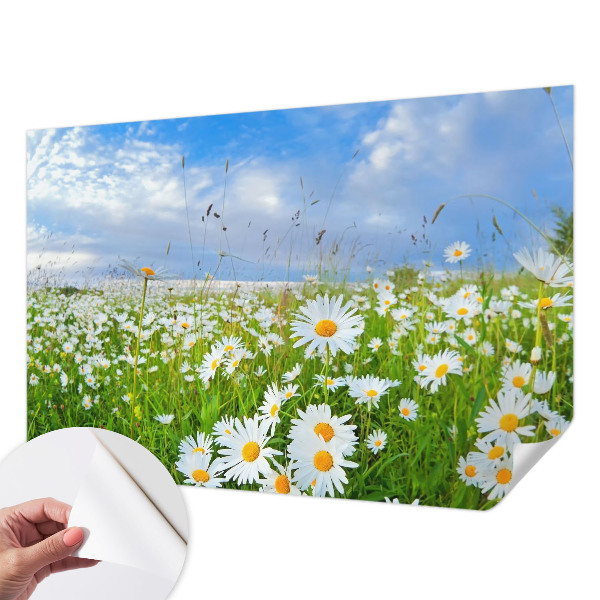 Samoljepljiva foto tapeta Ljetna livada