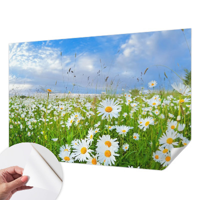 Samoljepljiva foto tapeta Ljetna livada