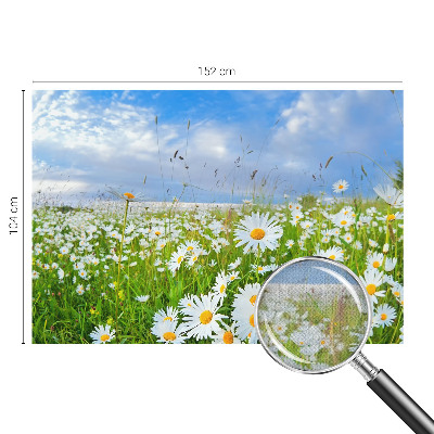 Samoljepljiva foto tapeta Ljetna livada