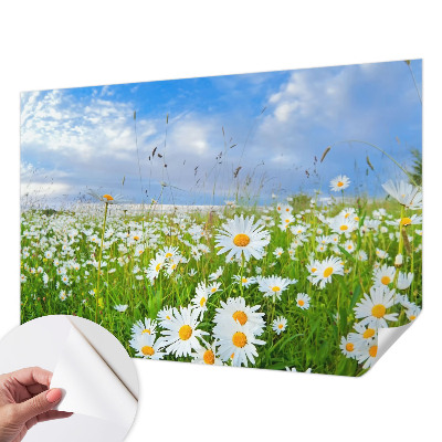 Samoljepljiva foto tapeta Ljetna livada