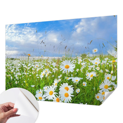 Samoljepljiva foto tapeta Ljetna livada