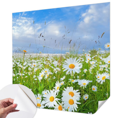 Samoljepljiva foto tapeta Ljetna livada